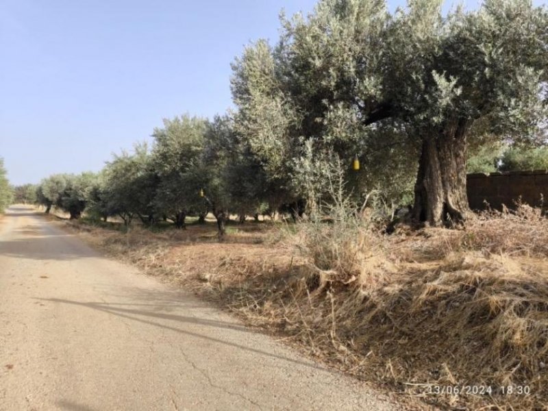 Timpaki Klima Kreta Timbaki außergewöhnliches Baugrundstück Meer- und Bergblick Grundstück kaufen